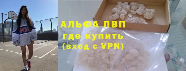 дмт Пересвет