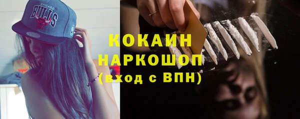 сатива Осташков