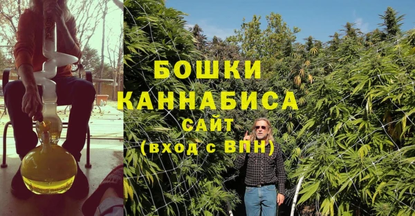 дмт Пересвет