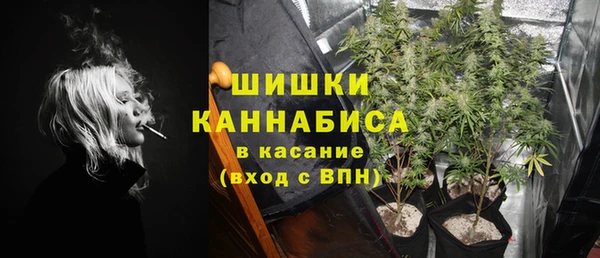 дмт Пересвет