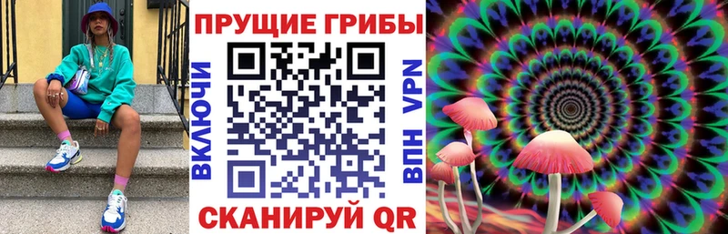 OMG зеркало  Семилуки  Псилоцибиновые грибы Cubensis 