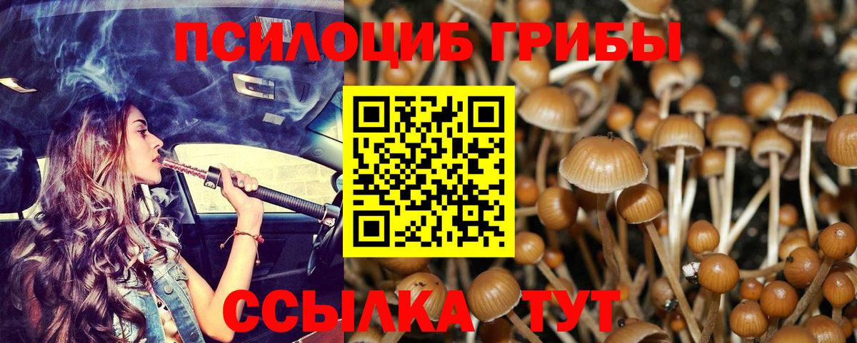 Семилуки  Псилоцибиновые грибы Psilocybe  Вход с VPN 