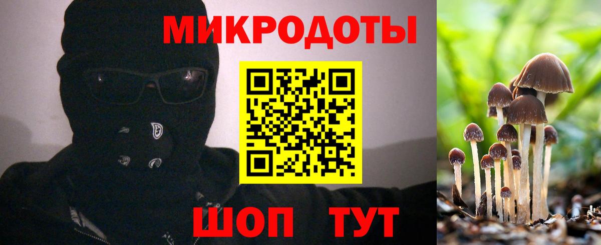 Псилоцибиновые грибы Psilocybine cubensis  Семилуки  Псилоцибиновые грибы ЛСД 