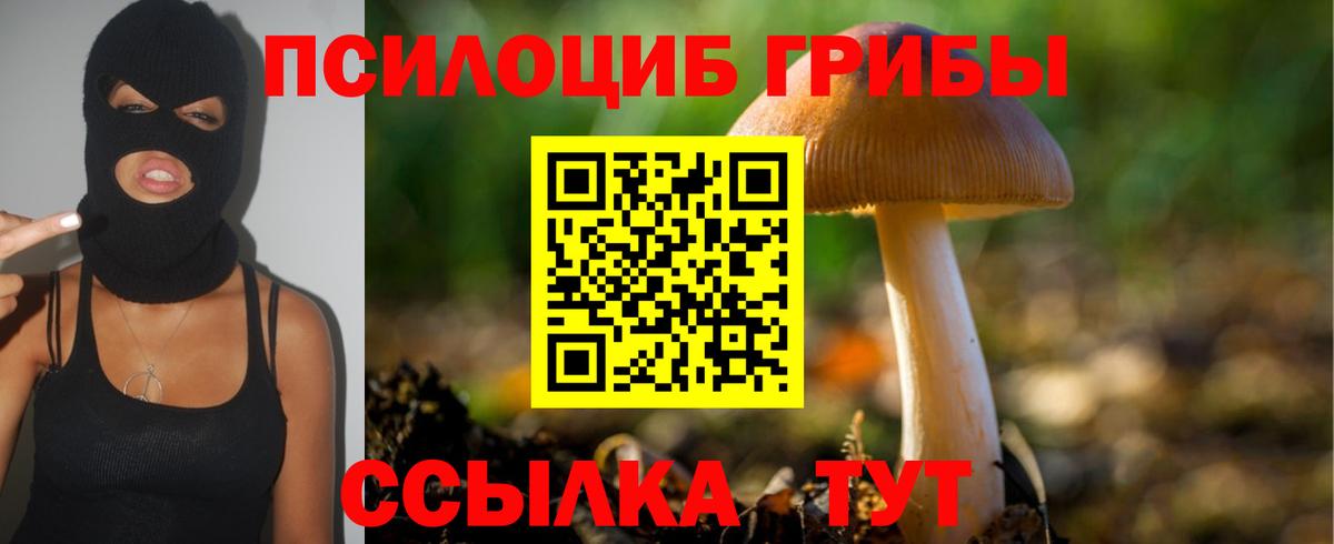 Псилоцибиновые грибы GOLDEN TEACHER Семилуки